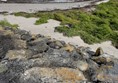 Port Logan