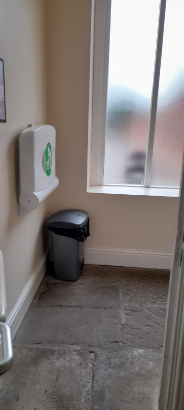Image of a bin in a toilet