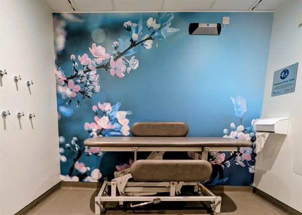 Image of inside Changing Places Toilet with height adjustable bench and cherry blossom wall