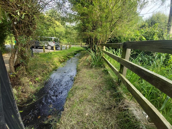 Image for review "A very special, beautiful place with step free access"