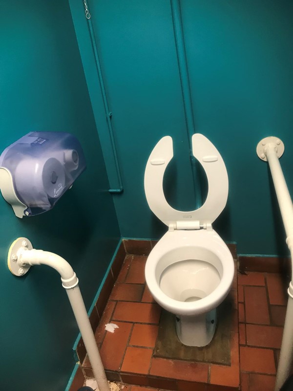 Accessible toilet which I struggled to use and without my carer I wouldn’t be able to flush as the chain is too high.