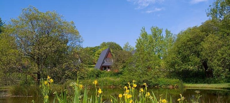 Forda Lodges and Cottages