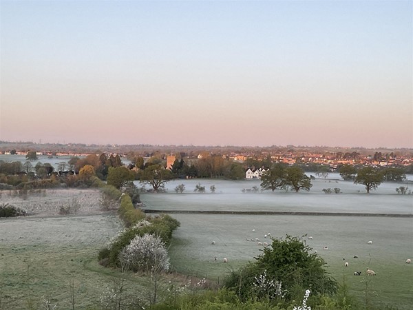 Image of a field