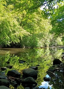 Muiravonside Country Park