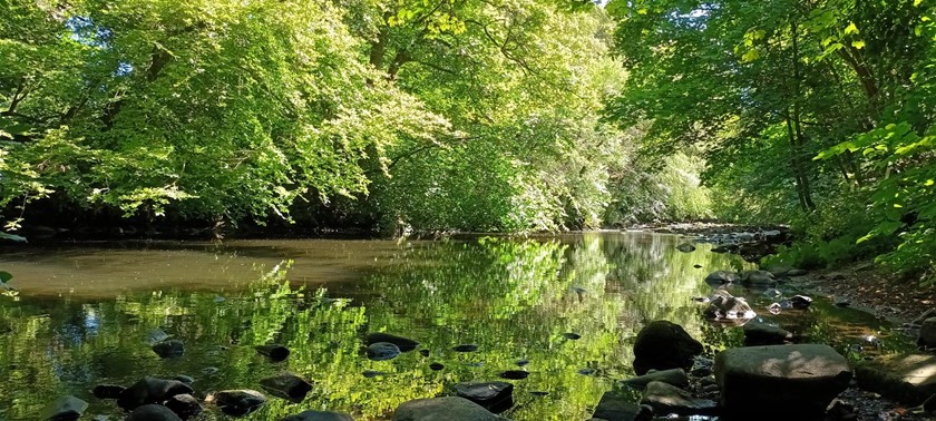 Muiravonside Country Park