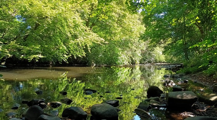 Muiravonside Country Park