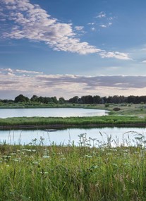 North Cave Wetlands