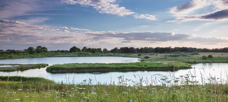 North Cave Wetlands