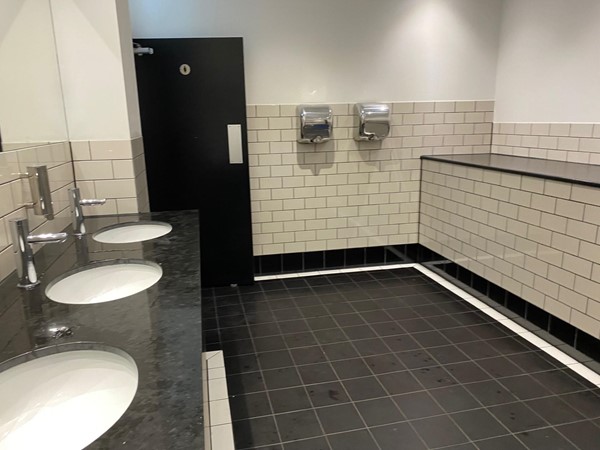 Image of a row of three sinks