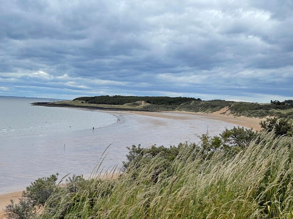 The view from the accessible viewing platform toward Gullane beach