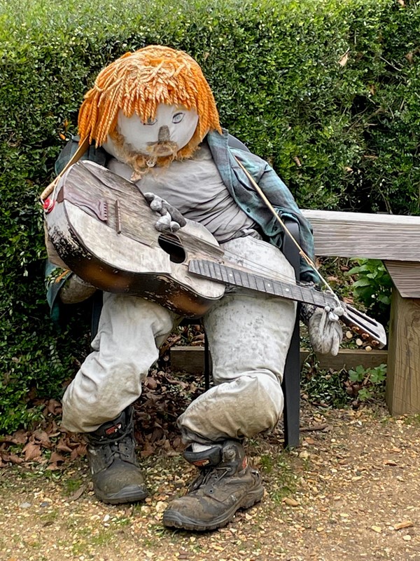 Ed Sheeran in the kitchen garden.