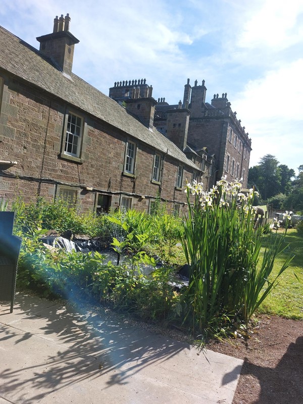 A building with a garden in front of it
