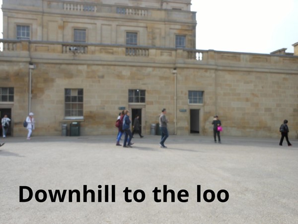 Downhill to the loo
