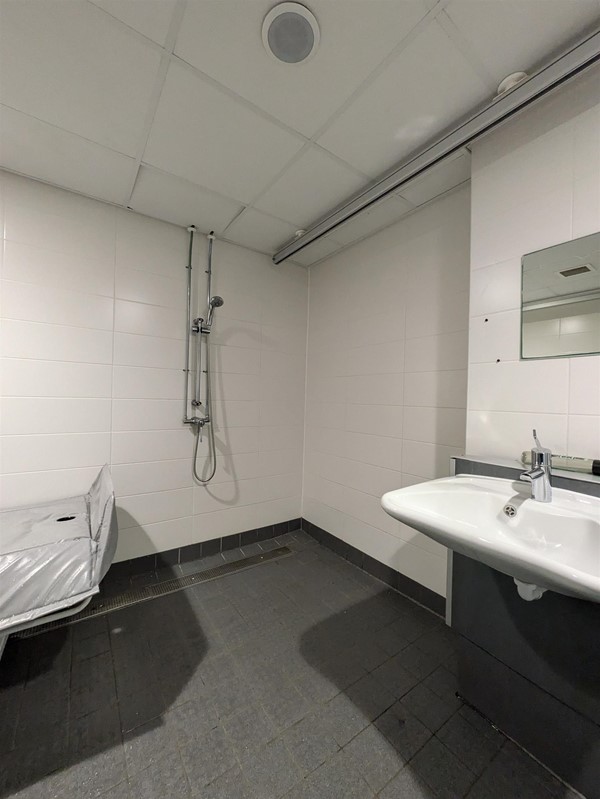 Image of the shower and sink in the Changing Places Toilet
