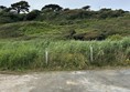 Image of a flat area of ground and some grass