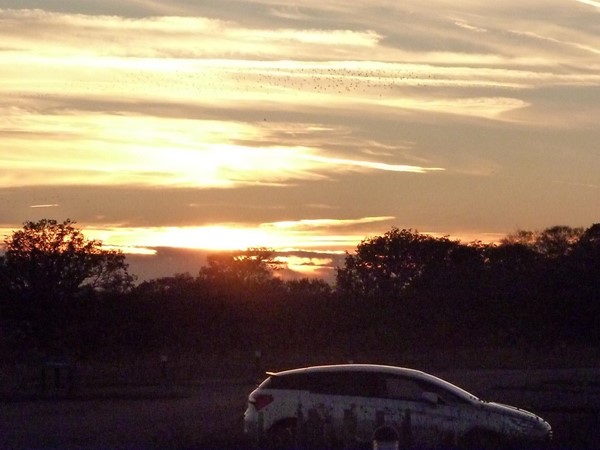 Picture of Abberton Reservoir -  Sunset