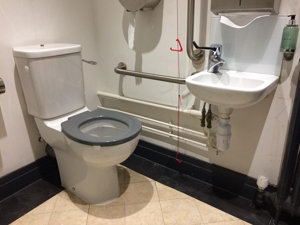 Accessible Toilet