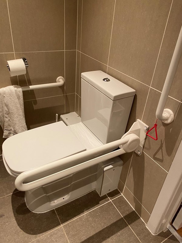 Toilet with grab rail