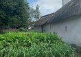 Burns Cottage kitchen garden