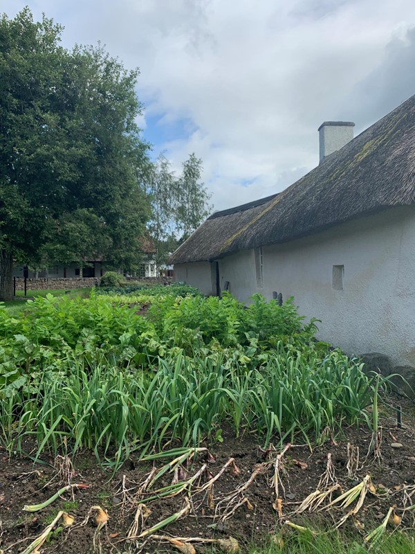 Burns Cottage kitchen garden