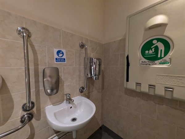 Image of a sink. grab rails and a folded up changing table