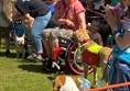 Wheelchair iser and assistance dog at River Dart Country Park