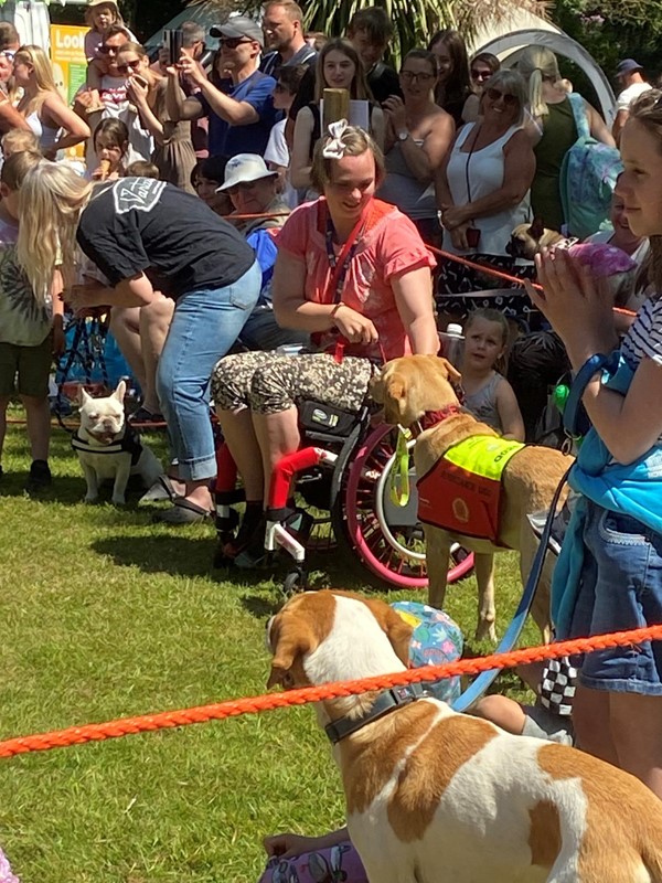 Wheelchair iser and assistance dog at River Dart Country Park
