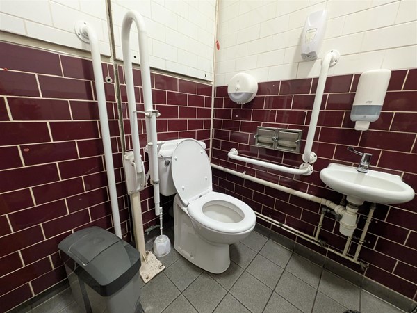 Image of accessible toilet