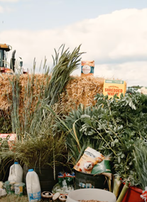 Hertfordshire County Show