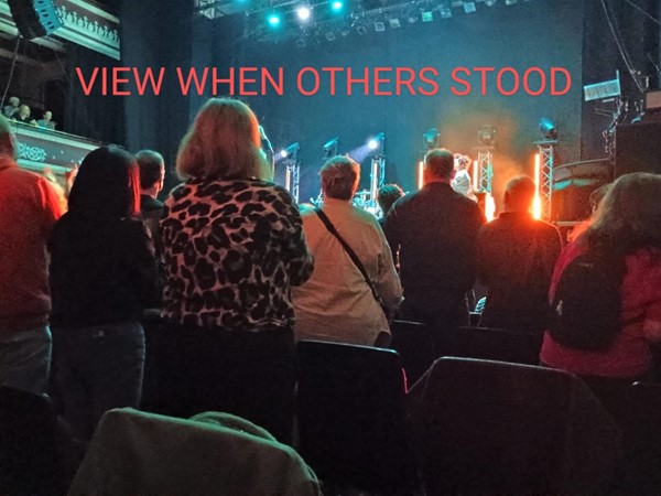 Picture of an audience facing a stage