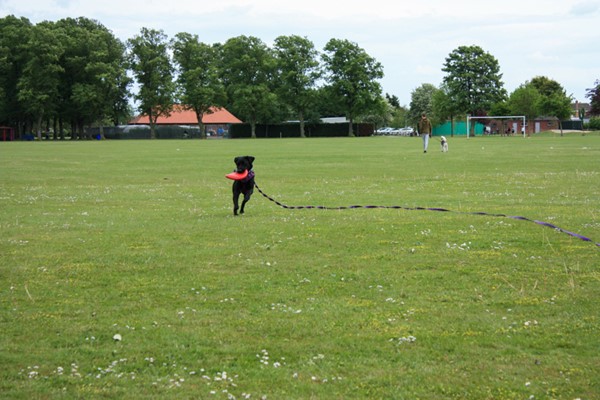 Large field with cafe building in the background.