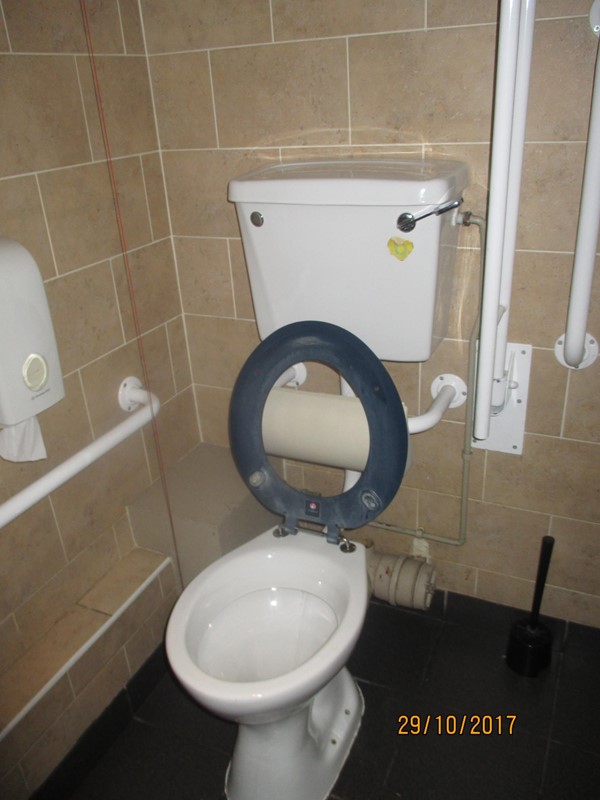 accessible toilet
