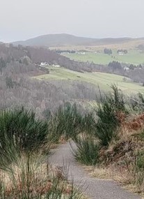 Blackmuir Wood