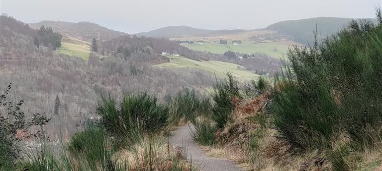 Blackmuir Wood