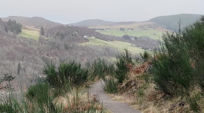 Blackmuir Wood