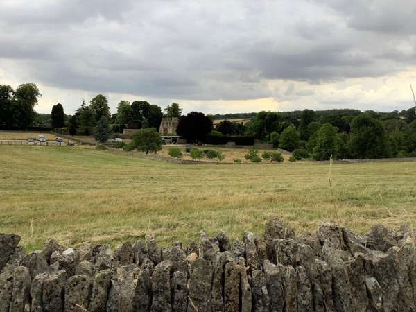 A field