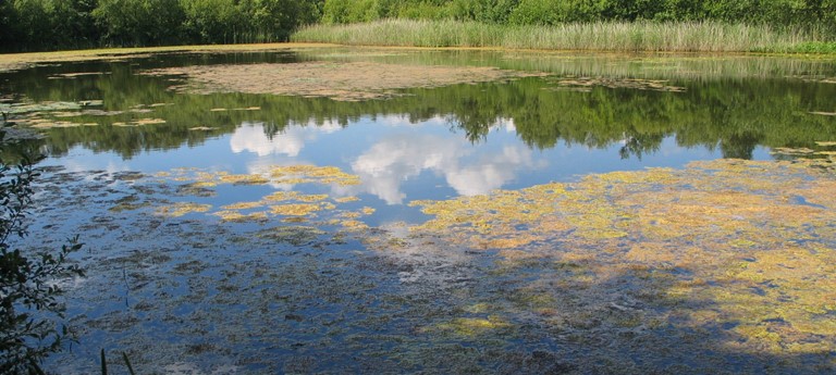 Mere Sands Wood Nature Reserve