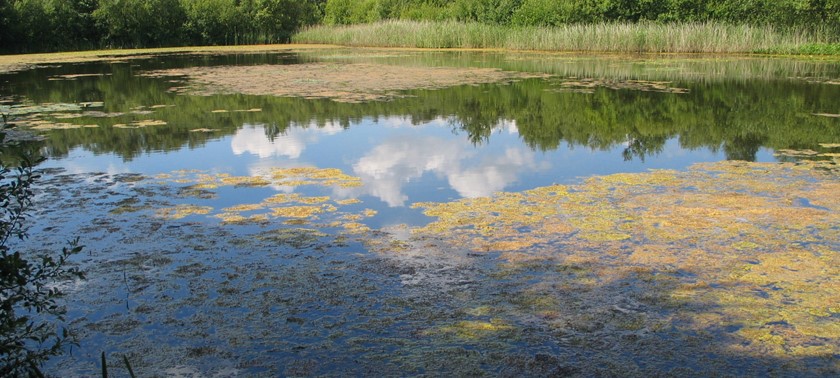 Mere Sands Wood Nature Reserve