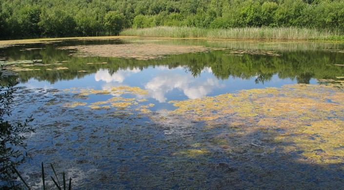 Mere Sands Wood Nature Reserve