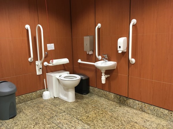 Inside accessible loo