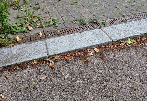 Image of where the steps to the seating area are the shallowest