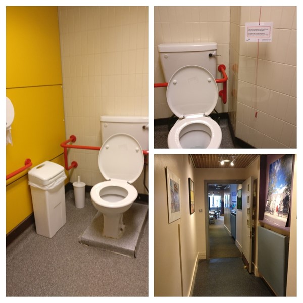 Accessible toilet