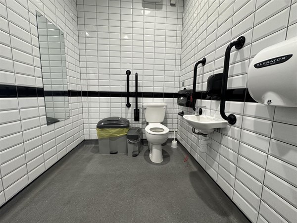 Image of large accessible toilet with mirror on the wall