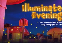 Illuminated Evenings 2025