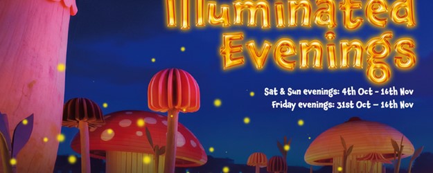 Illuminated Evenings 2025 article image