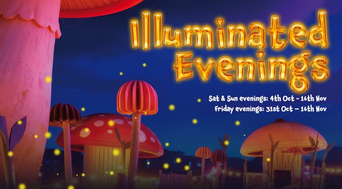 Illuminated Evenings 2025