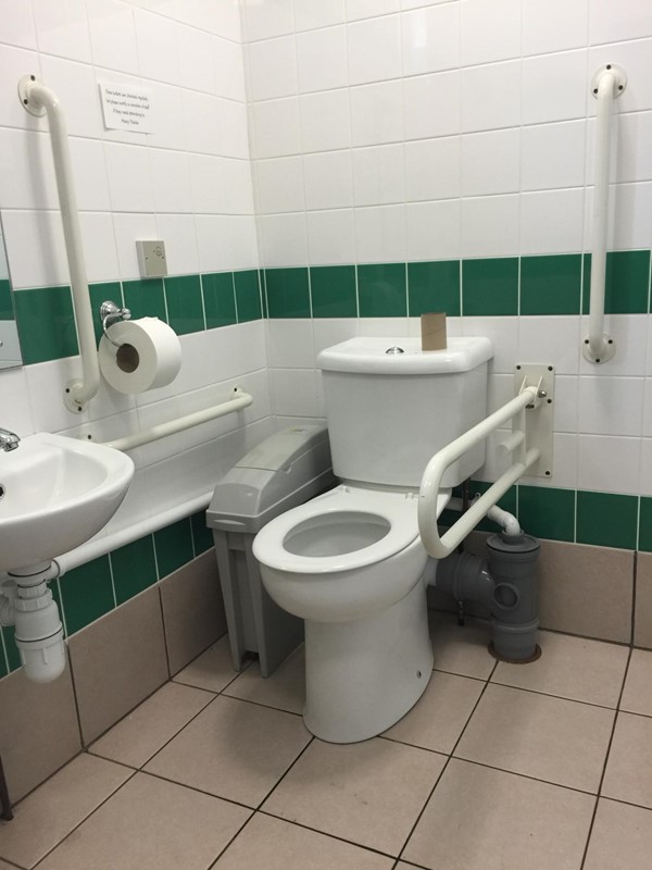 Picture of Monkey Haven - Accessible Toilet