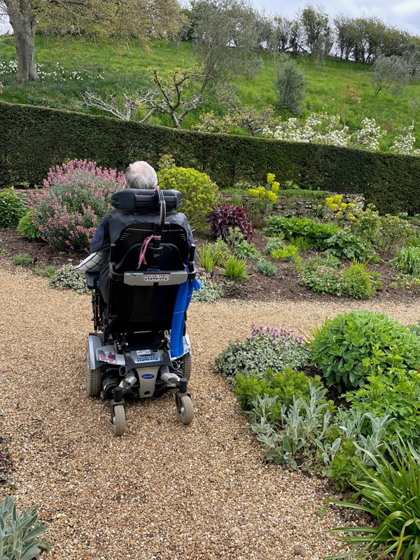 Picture of Mottistone Gardens