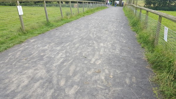 Paths throughout the park