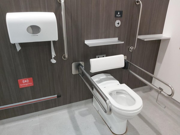 Close image of toilet and handrails in accessible toilet.